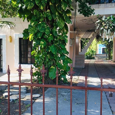 Hostal Y Camping Villa Mercedes Tizimin Bagian luar foto