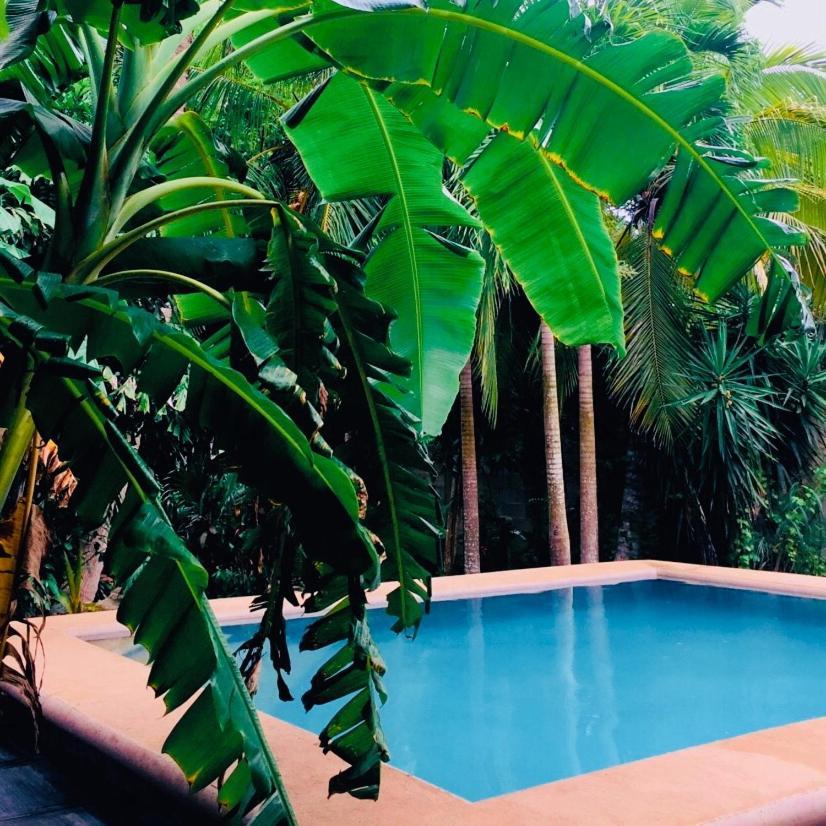 Hostal Y Camping Villa Mercedes Tizimin Bagian luar foto